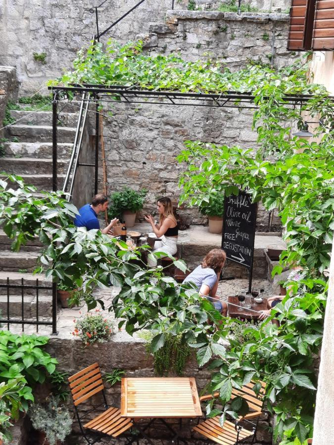 Bed & Breakfast Antico Motovun Exterior photo